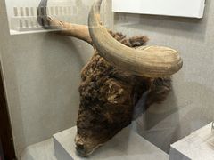 -青海藏文化博物院