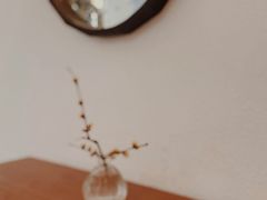 -Ginko银子(青龙街店)