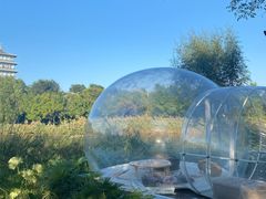 -Supine Bistro溯泮餐厅