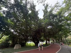 -南宁南湖公园