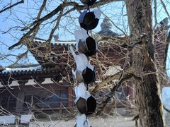 -径山寺