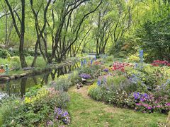 -上海共青森林公园