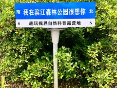-上海滨江森林公园