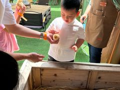 -HERRE·FARM 赫尔露营农场·团建聚会包场