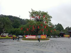 -东莞植物园