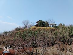 -宝鸡植物园