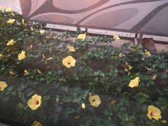 -人民公园(罗湖区)