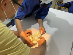 -瑞派名望24h动物医院异宠专科·猫专科·骨科·重症监护分院