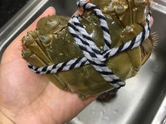 -喜洋洋蟹庄(阳澄湖店)