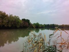 -长兴太湖图影湿地文化园