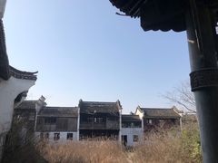 -上海鲜花港