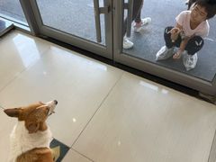 -全心全意连锁动物医院·微创中心·内科急重症·心脏专科(丰管路店)