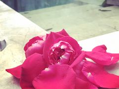 -柏联酒店