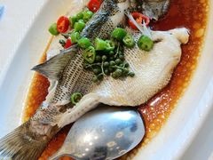 -湛江菜.江南首席(昆山店)