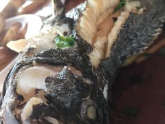 -蓝湾碧波·老字号·疍家非遗海上餐厅