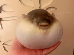 -永安鱼庄·镇江菜(东吴路店)