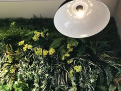 -南城十里潮汕鲜牛火锅·鲜虾生滚粥(融汇老商埠店)