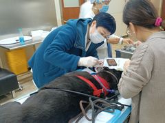 -美联众合动物医院·24h转诊中心