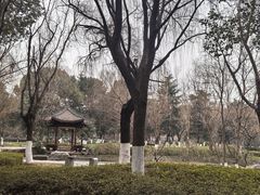 -太子山公园(园东路)