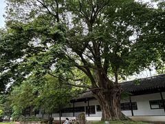 -苏州文庙(姑苏区)