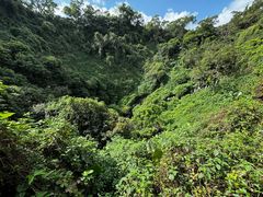 -海口火山口国家地质公园