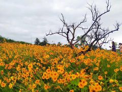 -庐山西海国际温泉度假村