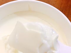 酸奶-正飞鲜奶(南湖一期店)