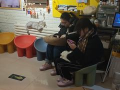 -平行世界·猫咖(首经贸店)