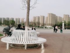 -丁香湖公园