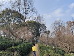 -岳麓山风景名胜区