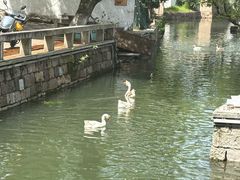 -丝绸小镇荻港古村