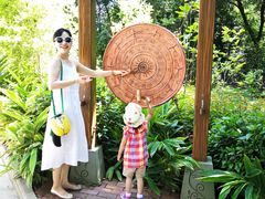 -南宁良凤江国家森林公园