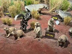 -陕西自然博物馆