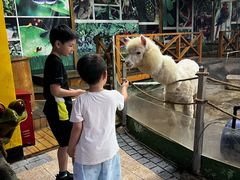 -上海大自然野生昆虫馆(东方明珠·爬宠昆虫探索中心)