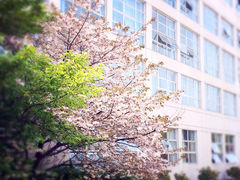 -上海第二工业大学(金海路校区)