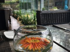 -外滩悦榕庄·海怡西餐厅