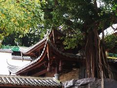 -乌山风景区