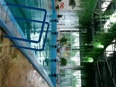 -灵山莲花公园-温泉度假区