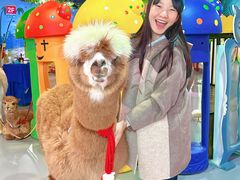 -顺德南宏海立方海洋公园