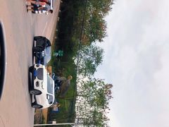 -广东惠东海龟国家级自然保护区