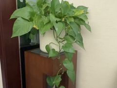 -汕头金海湾大酒店(龙眼南路美食街万象城店)