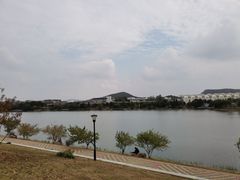 -羊山湖公园