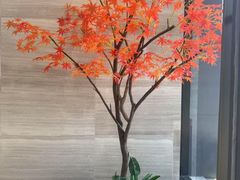 -唐宫足道·SPA·影院会馆(木渎店)