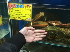 -蚝专家(北滘店)