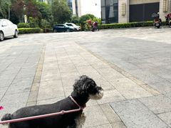 -白鹤梁水下博物馆