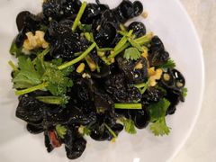 -洞庭家宴·头牌甲鱼(广渠门店)