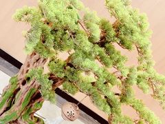 -博多一蘭·乌冬·定食·烧串(徐家汇店)