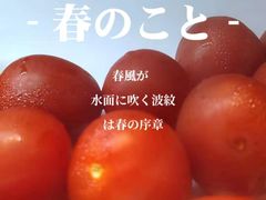 -九记潮汕现切鲜牛肉自助火锅(新开铺店)