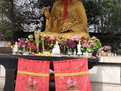 -上海佘山国家森林公园天马山园