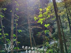 -千泷沟大瀑布旅游区